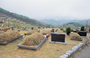 노동자들의 영혼이 잠든[솥발산 공원묘역] 표지 이미지